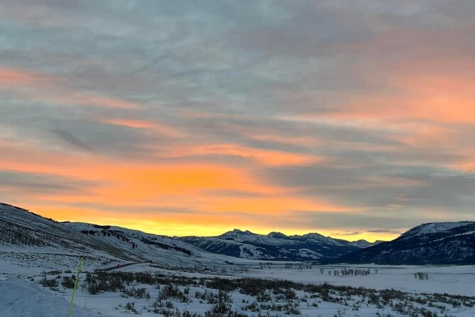 Private Evening/Sunset Wildlife Encounter Tour - The Animals You Might See in Lamar Valley