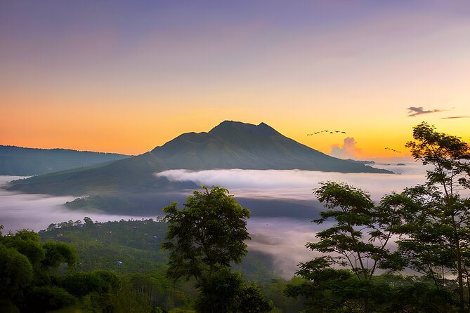 Private Full-Day Tour: Waterfall, Temple, Volcano, Rice Terrace & Monkey Forest - Kintamani Gives You the Big View
