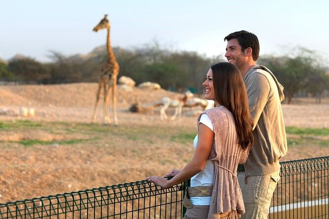 Private Garden City Tour with Zoo Ticket at Al Ain - Entering Sheikh Zayed Palace Museum