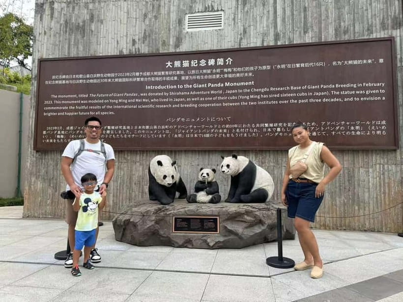 Private Half-Day Tour to Chengdu Panda Base - The red panda activity at Dujiangyan