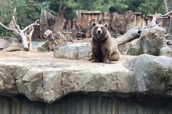Private Half Day Tour To The Zoo In Giza - The best fit for families and first-time Cairo visitors