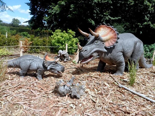 Private Return Transfer Thoiry Zoo Safari from Paris - Key points to know before booking