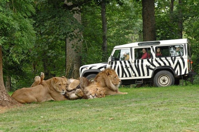 Private Return Transfer Thoiry Zoo Safari from Paris - The open-air safari and its African animals