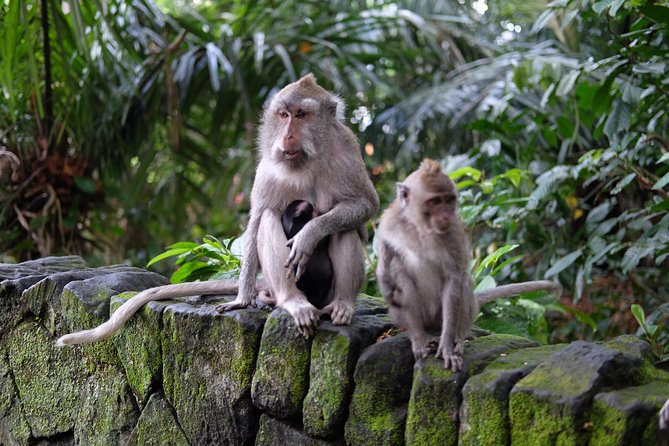 Private Shore Excursion: Ubud Art Villages and Sacred Monkey Forest - Ubud Palace in a 15-minute visit