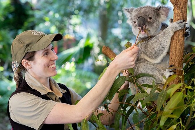 Private Shore Excursions with Lone Pine Koala Sanctuary Visit - Key points at a glance