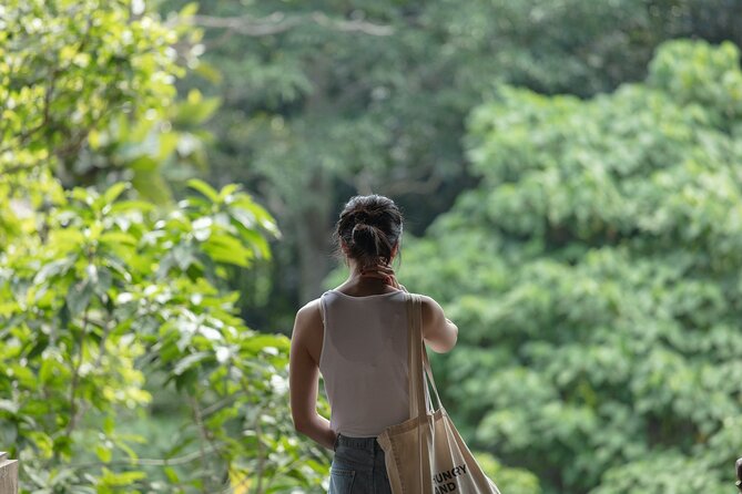Private Tour : Bali Best Waterfalls, Temples and Monkey Forest - A flexible lunch stop around Ubud