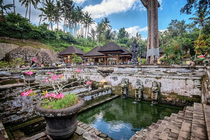 Private Tour : Bali Best Waterfalls, Temples and Monkey Forest - Elephant Cave and the name that can mislead you