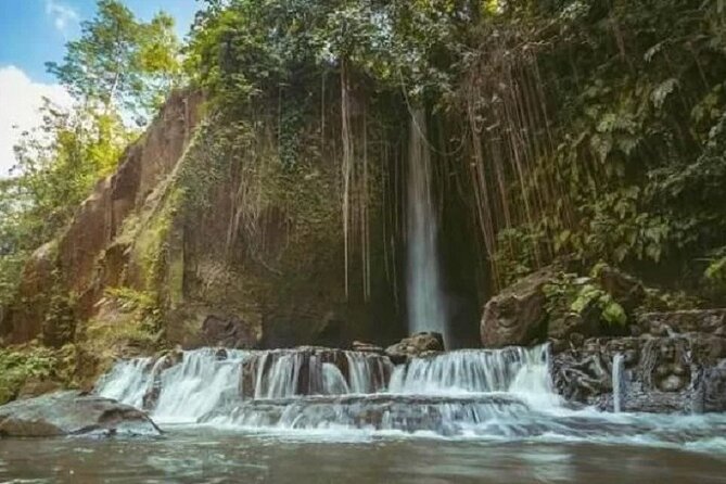 Private Tour to Sumampan Waterfall, Monkey forest, Rice terraces and Swing - Why this private Ubud day works