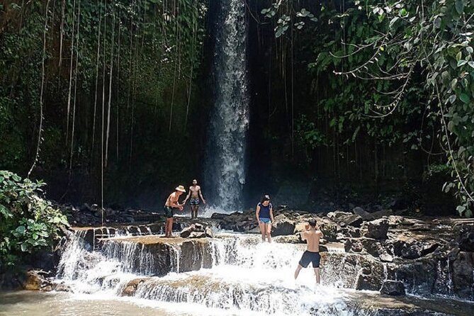 Private Tour to Sumampan Waterfall, Monkey forest, Rice terraces and Swing - What the $57 price delivers