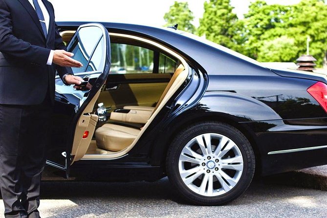 Private Transfer between Shanghai Zoo and City Hotels - One-way or round-trip service