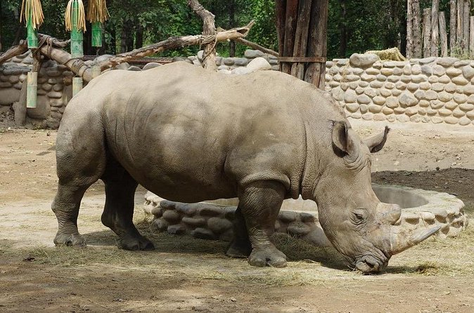 Private Transfer to Beijing Wildlife Park with Self-driving Ride Inside - Is $88 a fair price?