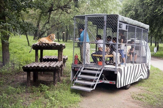 Private Transfer to Beijing Wildlife Park with Self-driving Ride Inside - Communication, timing, and the small details that matter