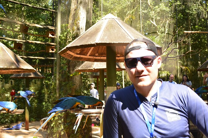 Private transport with guide to Brazil Falls + Bird Park - Walking the 1,500-meter Brazilian Falls trail
