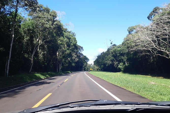 Private transport with guide to Brazil Falls + Bird Park - What the price does and does not cover