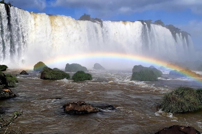 Private transport with guide to Brazil Falls + Bird Park - Who should book this experience?