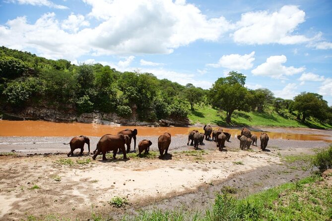 Private Wildlife Encounter at Tarangire National Park - Key points to know before booking