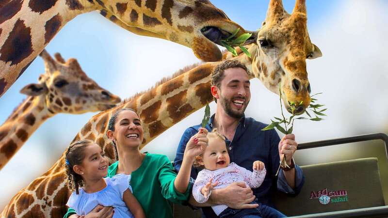 Puebla Africam Safari Park, Live an Unforgettable Adventure! - Starting at Puebla’s Zócalo