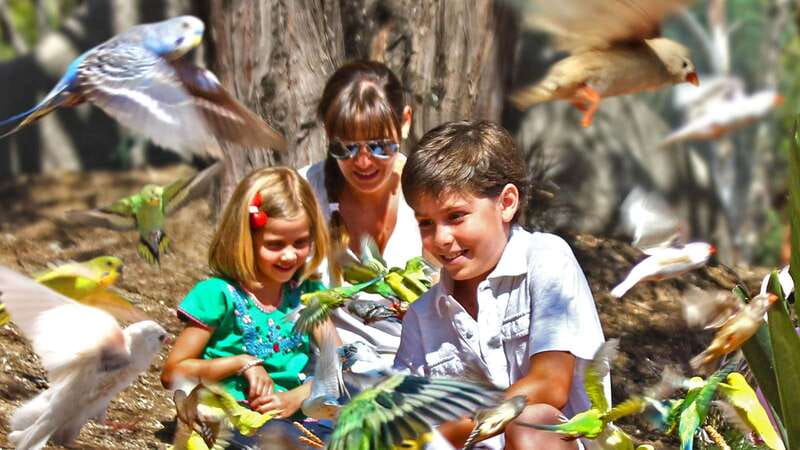 Puebla Africam Safari Park, Live an Unforgettable Adventure! - What to bring for a comfortable day