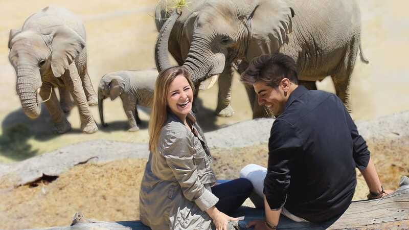 Puebla Africam Safari Park, Live an Unforgettable Adventure! - Is Africam Safari worth booking?