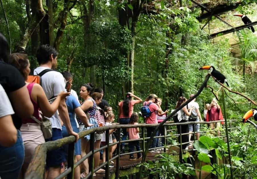 Puerto Iguazu: Iguaza Falls Brazilian Side & Bird Park Tour - Walking the Brazilian falls route