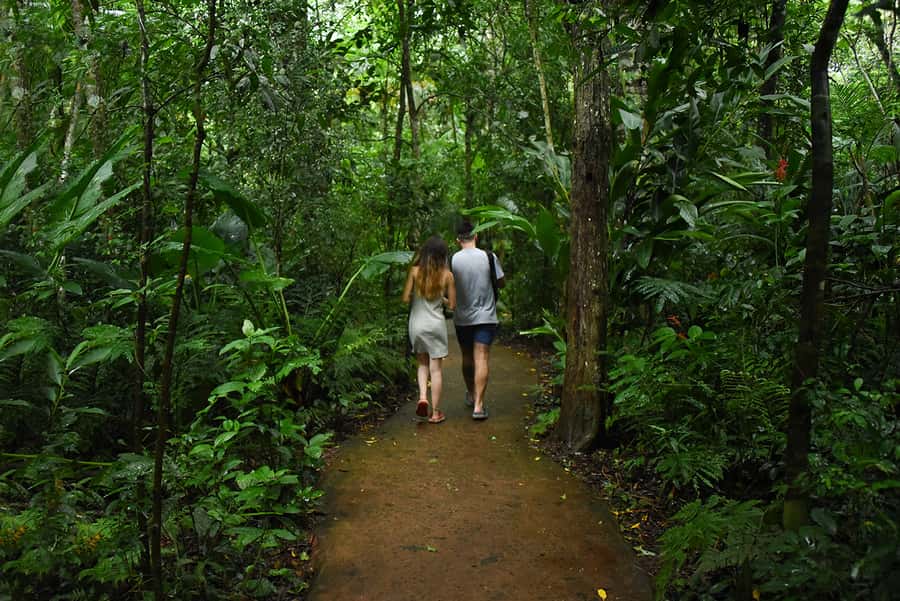 Puerto Iguazu: Iguaza Falls Brazilian Side & Bird Park Tour - Cost, extra tickets, and the real value