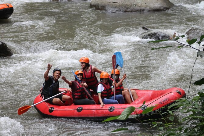 Rafting Swing Monkey Forest And Waterfall Tour All Inclusive - Four Bali highlights in one fast day