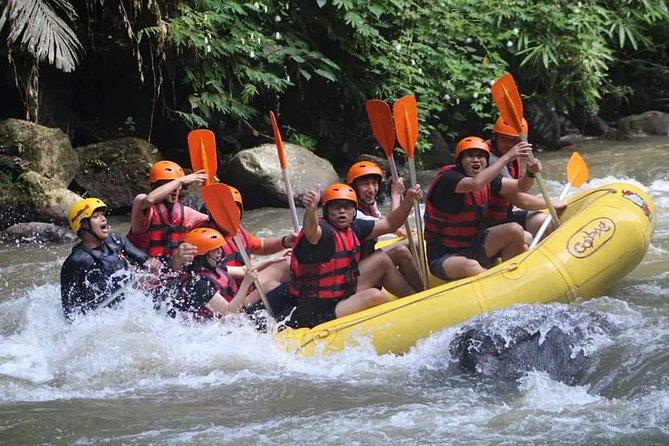 Rafting Swing Monkey Forest And Waterfall Tour All Inclusive - Happy Swing Bali and the one-hour photo stop
