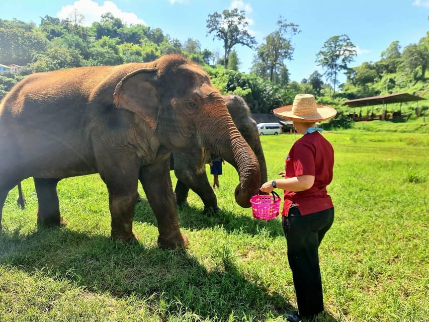 Rantong elephant sanctuary Chiangmai - Should you book Rantong Elephant Sanctuary?