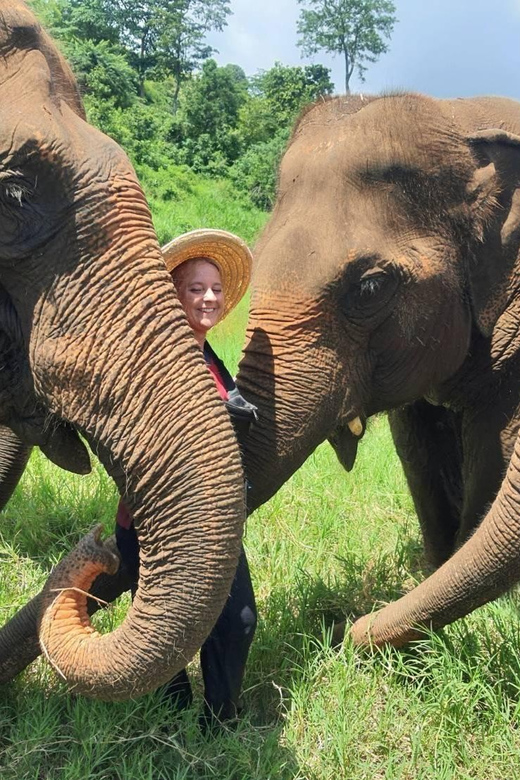 Rantong elephant sanctuary Chiangmai - Meeting the elephants outside Chiang Mai