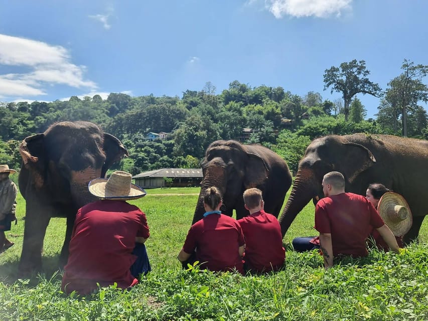 Rantong elephant sanctuary Chiangmai - Is $57 a fair price?