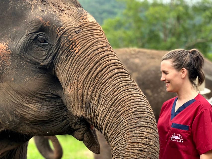 Rantong elephant sanctuary Chiangmai - Who will enjoy this visit most?