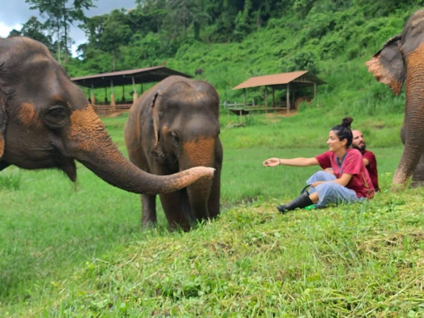 Rantong elephant sanctuary Chiangmai - Booking details that affect your day