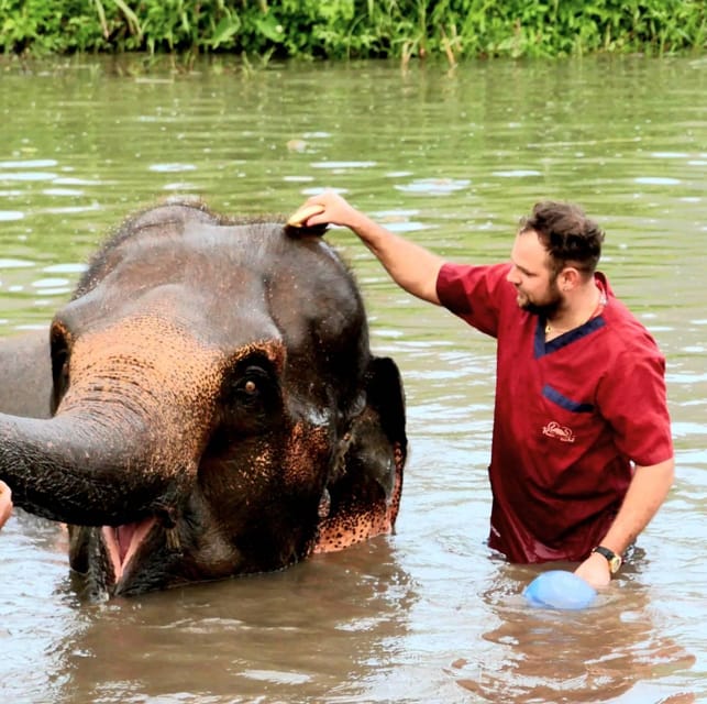 Rantong elephant sanctuary Chiangmai - Feeding elephants and learning their habits