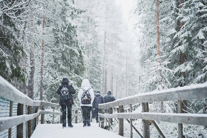 Ranua Wildlife Park Day: Visit the Arctic Animals - Winter conditions and the best type of visitor
