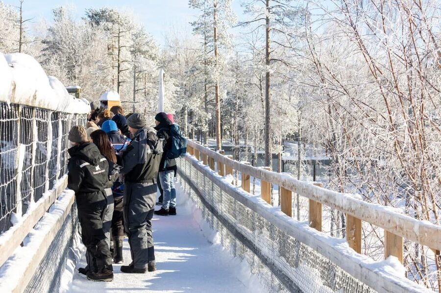 Ranua: Wildlife Park Entrance Ticket - Winter changes the experience