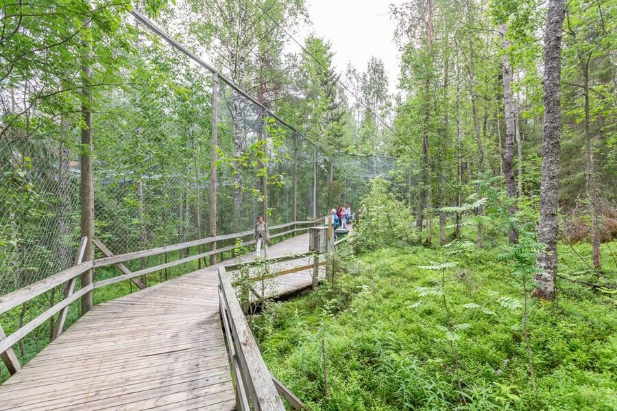 Ranua: Wildlife Park Entrance Ticket - Who will enjoy Ranua most