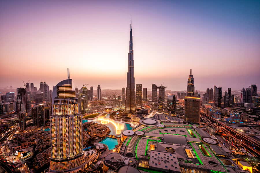 Ras Al Khor Wildlife Sanctuary with Dubai City Tour - The Spice Market, seen at a quick pace