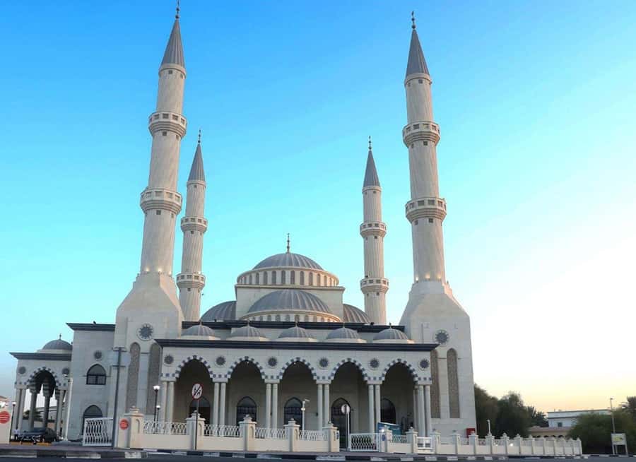 Ras Al Khor Wildlife Sanctuary with Dubai City Tour - Blue Mosque and Dubai Mall without a full interior visit