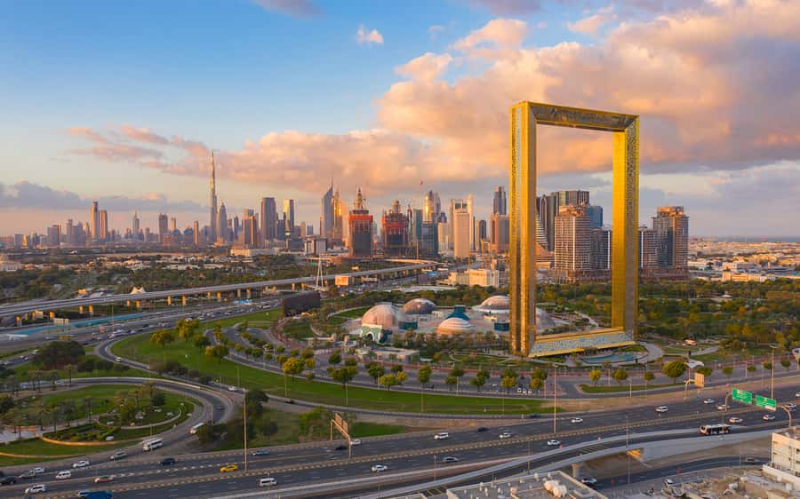 Ras Al Khor Wildlife Sanctuary with Dubai City Tour - What the guides add to the experience