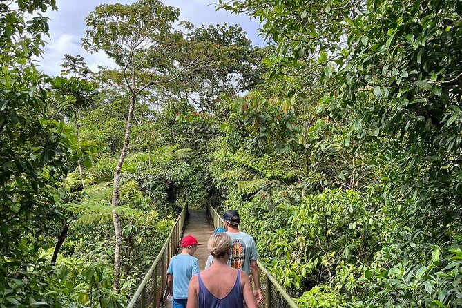Rio Celeste Waterfall Plus Sloths and wildlife Sanctuary - A word about the guides