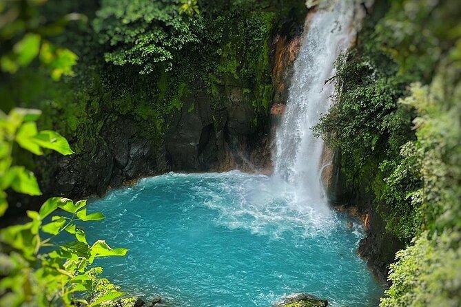 Rio Celeste Waterfall Plus Sloths and wildlife Sanctuary - Spring Paradise is the reliable sloth stop