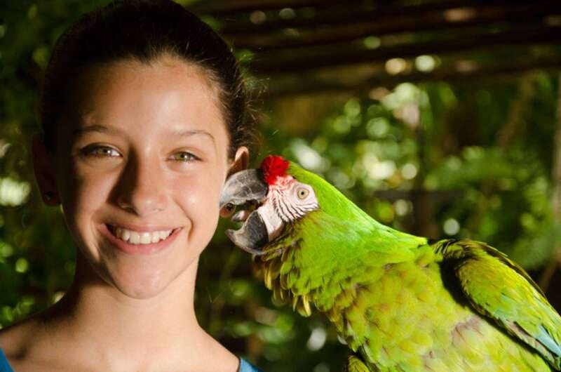 Riviera Maya: Croco Cun Interactive Zoo Tour - A close look at wildlife near Riviera Maya