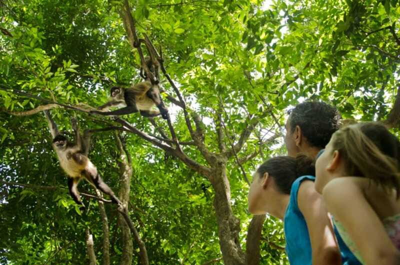 Riviera Maya: Croco Cun Interactive Zoo Tour - Why the animal encounters matter