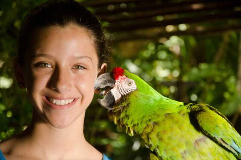 Riviera Maya: Croco Cun Interactive Zoo Tour - Crocodiles, snakes, and turtles at close range
