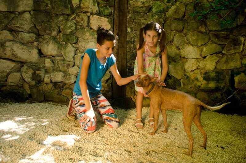 Riviera Maya: Croco Cun Interactive Zoo Tour - Is $44 a fair price?