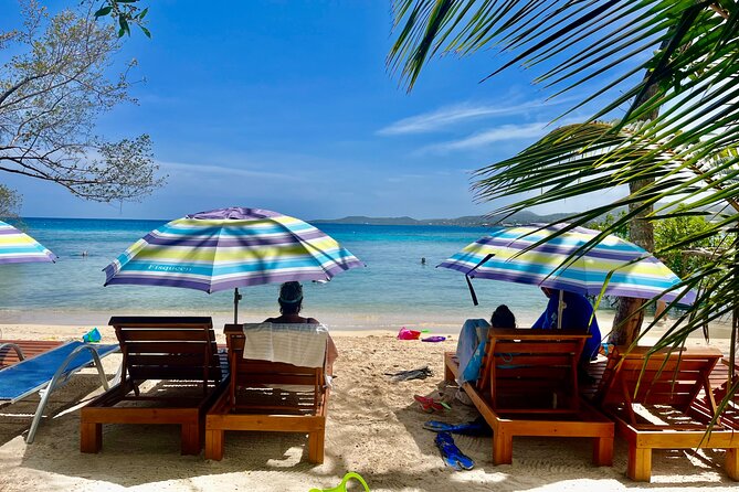 Roatan Monkey and Sloth Sanctuary and Beach Break - What happens with the monkeys