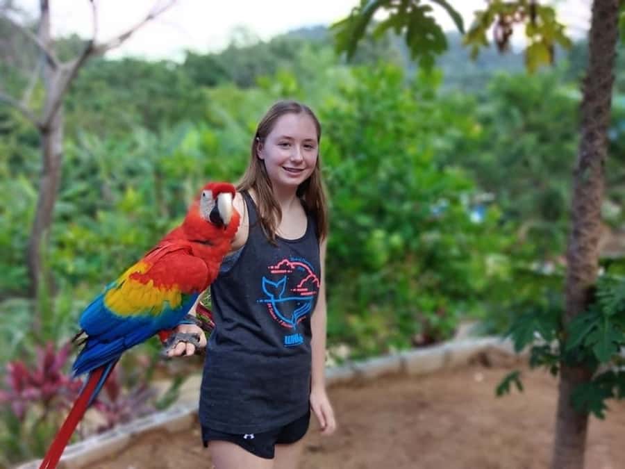 Roatán: Monkey and Sloth Sanctuary Tour - FAQ