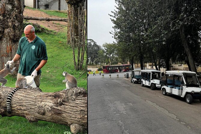 Rome: Entrance ticket Zoo + Golf Cart tour of Villa Borghese - Why the golf cart makes sense in Villa Borghese