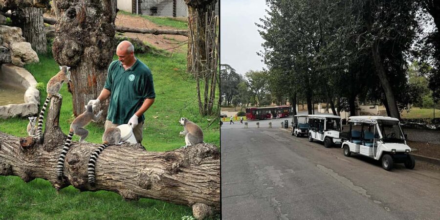 Rome: Zoo entry ticket + Villa Borghese Golf Cart Tour - A Two-Part Rome Outing With Two Very Different Speeds