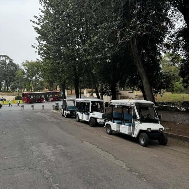 Rome: Zoo entry ticket + Villa Borghese Golf Cart Tour - Three Hours of Self-Guided Zoo Time